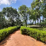 Villa Casa Rondine Podere Dottrina